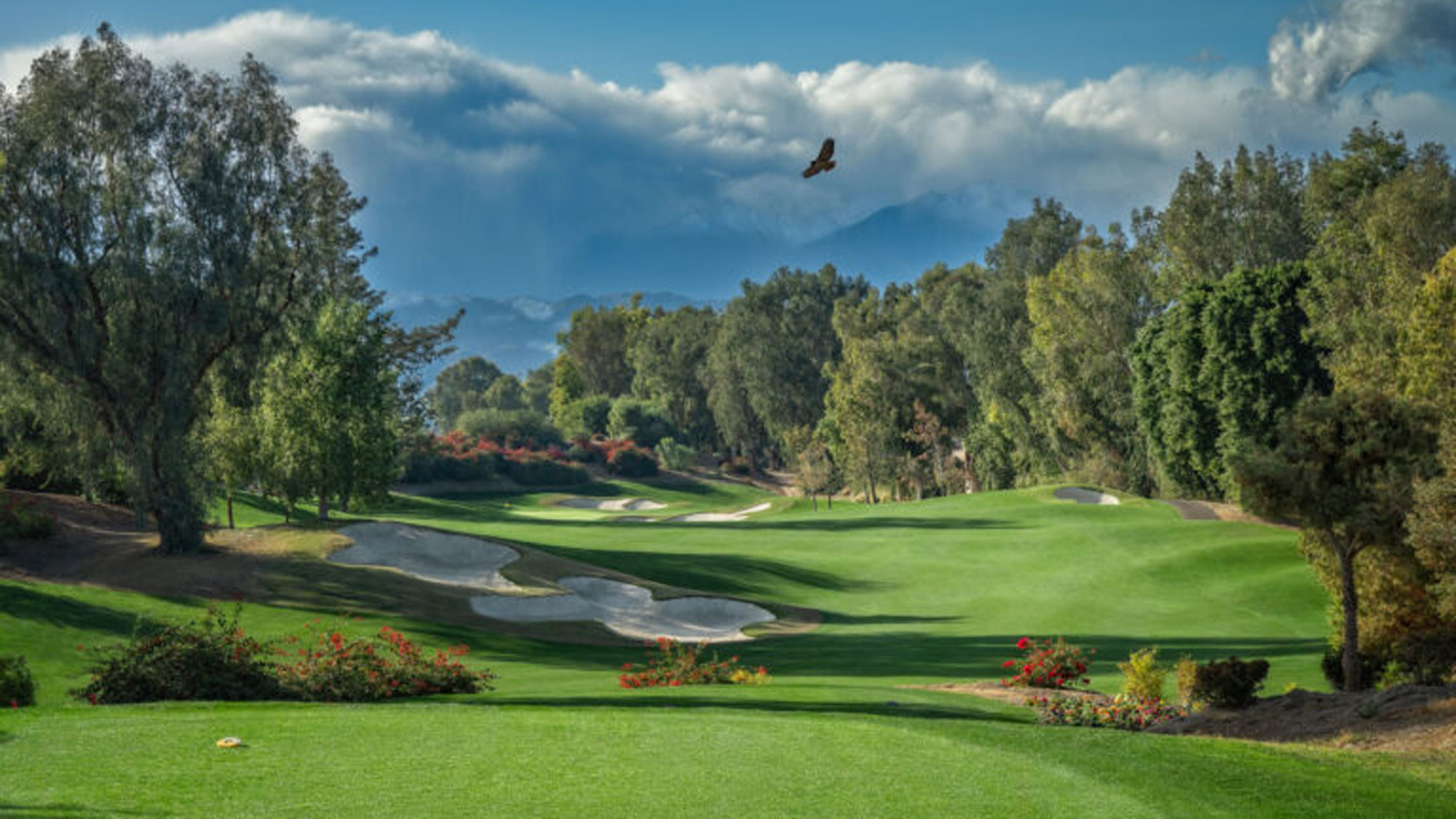 Epson Tour Championship hero banner